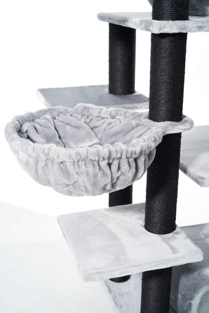 Nobby Kratzbaum Todor